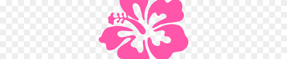 Forrest Image, Flower, Plant, Hibiscus, Person Free Transparent Png