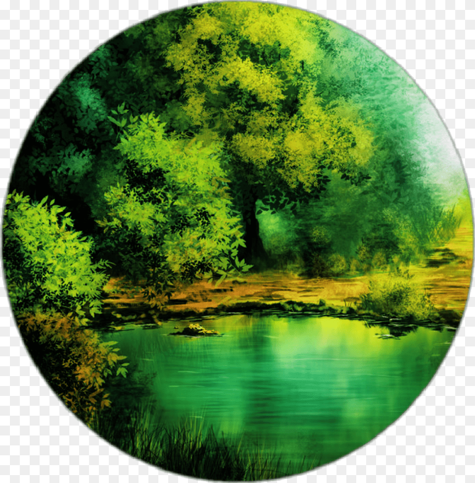 Forrest Sticker Forest With Lake Drawing, Water, Green, Nature, Outdoors Free Png Download