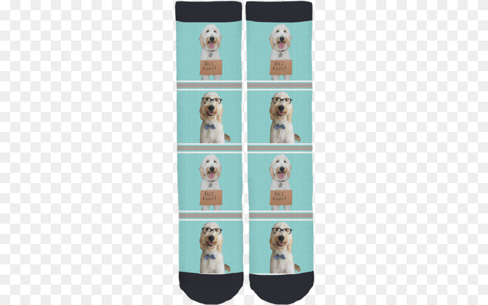 Forrest The Dood Crew Socks Sock, Animal, Canine, Dog, Mammal Png