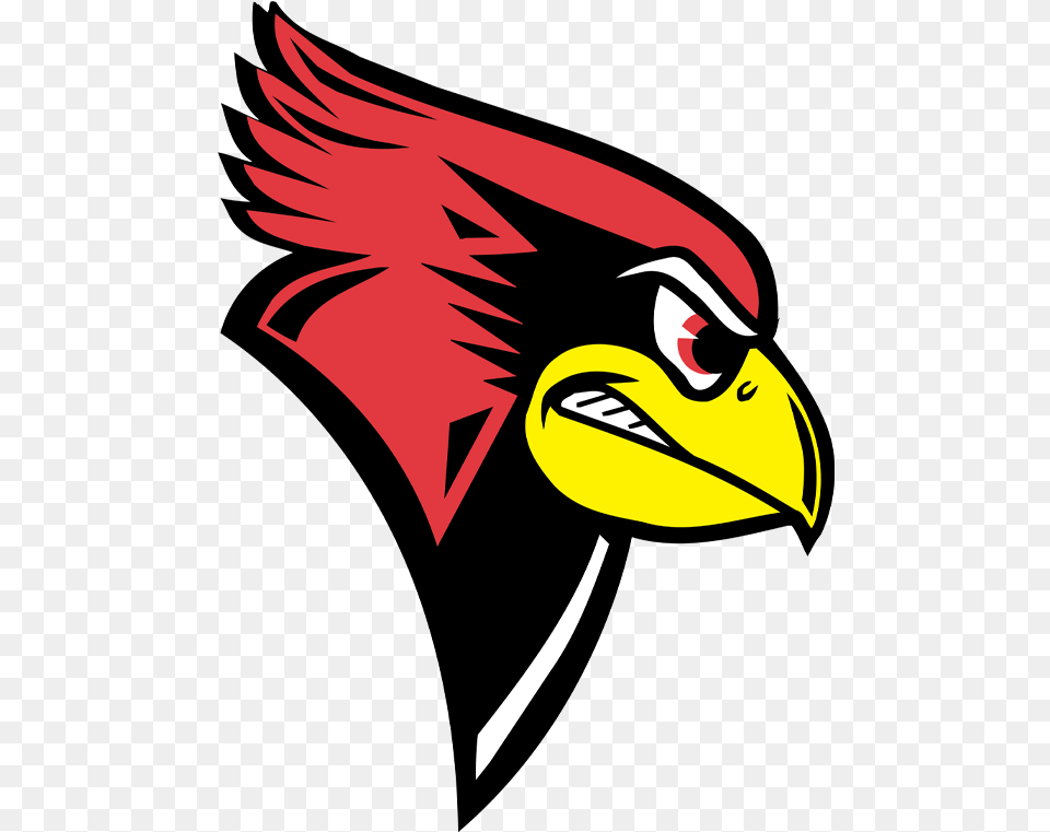 Fort Worth Christian Cardinals Logo Illinois Football Team, Animal, Beak, Bird Free Png Download