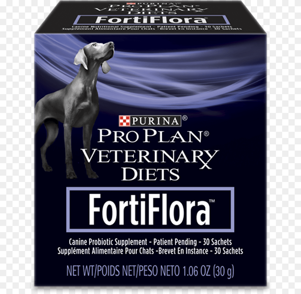 Fortiflora Probiotic Supplement For Dog Diarrhea Purina Veterinary Diets Fortiflora, Advertisement, Poster, Animal, Canine Free Transparent Png