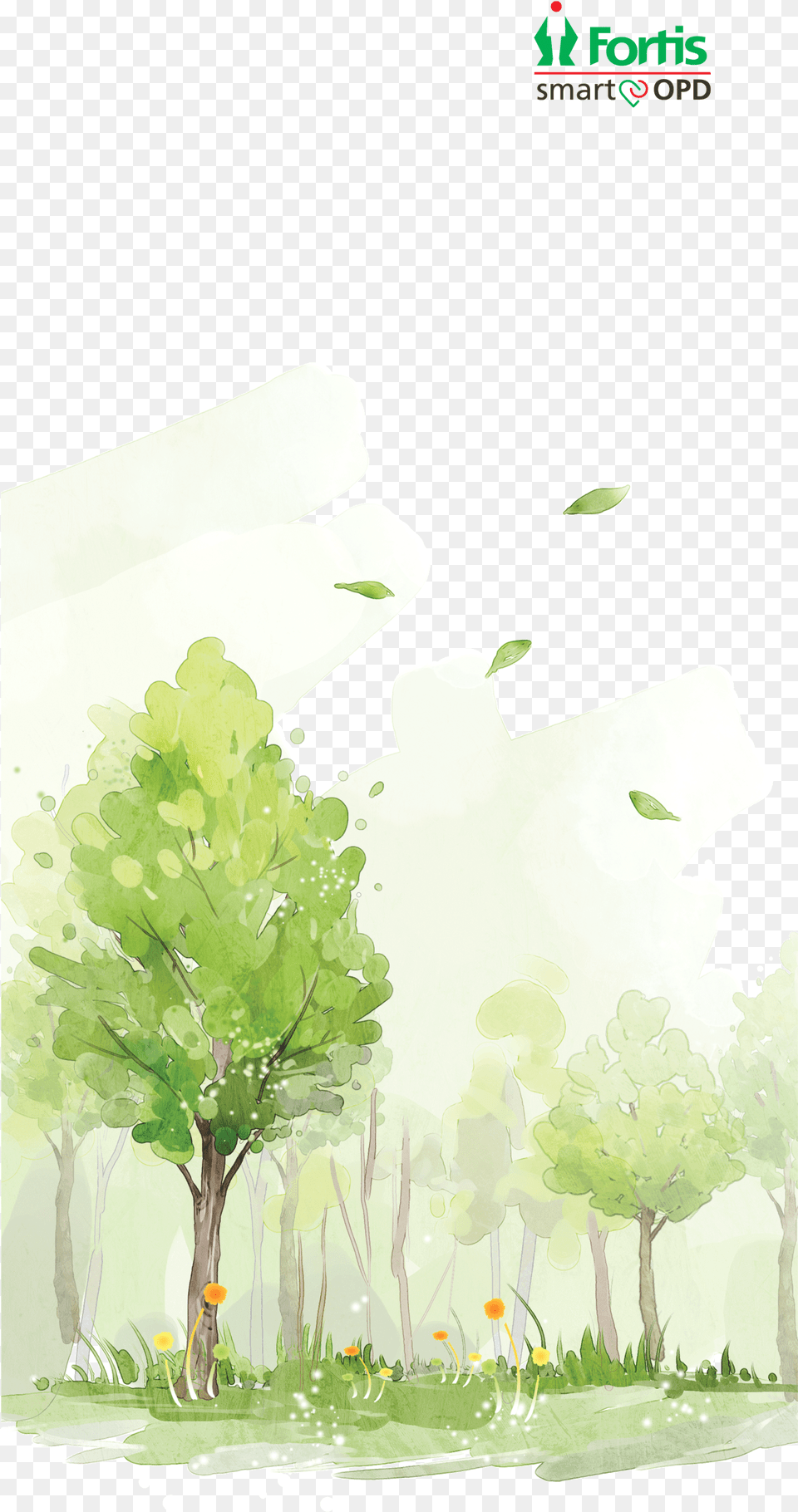 Fortis Malar Hospital Maidenhair Tree, Vegetation, Plant, Green, Painting Free Png
