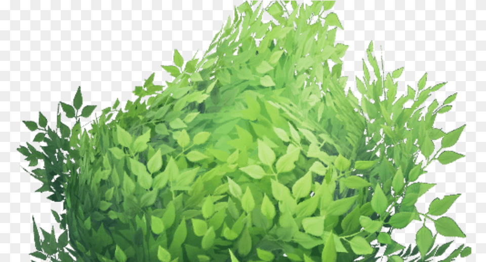 Fortnite Bush, Green, Leaf, Plant, Vegetation Free Png