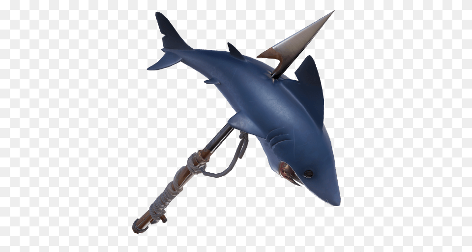 Fortnite News, Animal, Fish, Sea Life, Shark Png