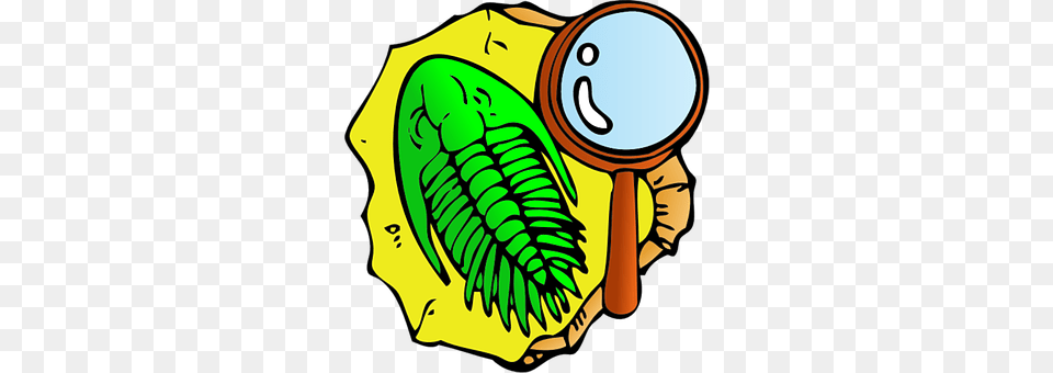 Fossil Leaf, Plant, Magnifying Png