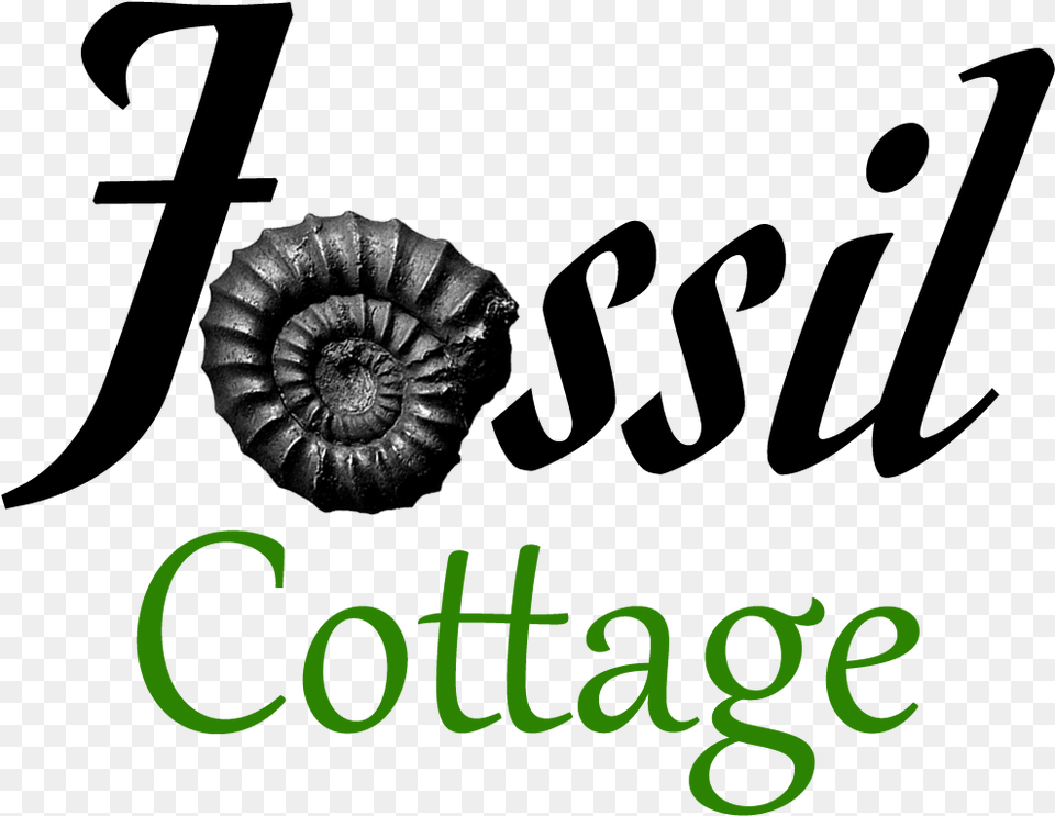 Fossil Cottage Fossil Cottage, Animal, Insect, Invertebrate, Spiral Png Image