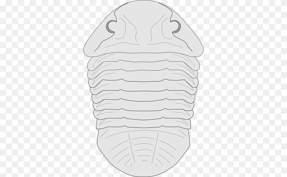 Fossil Of The Asaphus Species Svg Clip Arts 402 X, Ammunition, Grenade, Weapon, Diaper Free Transparent Png