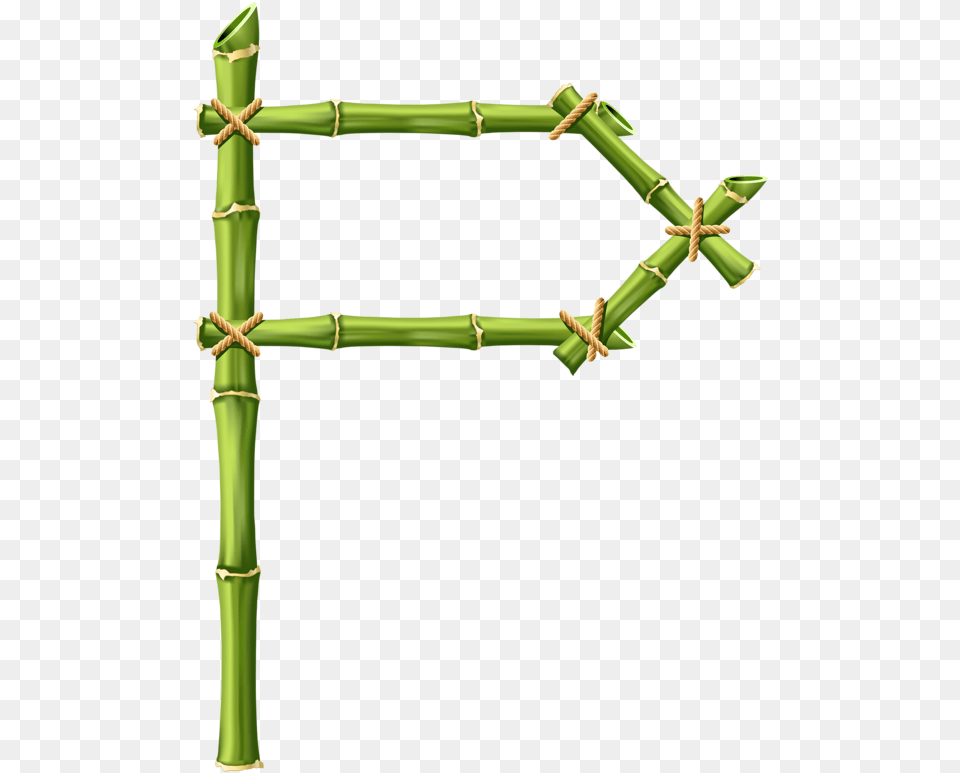 Fotki, Bamboo, Plant Free Png Download