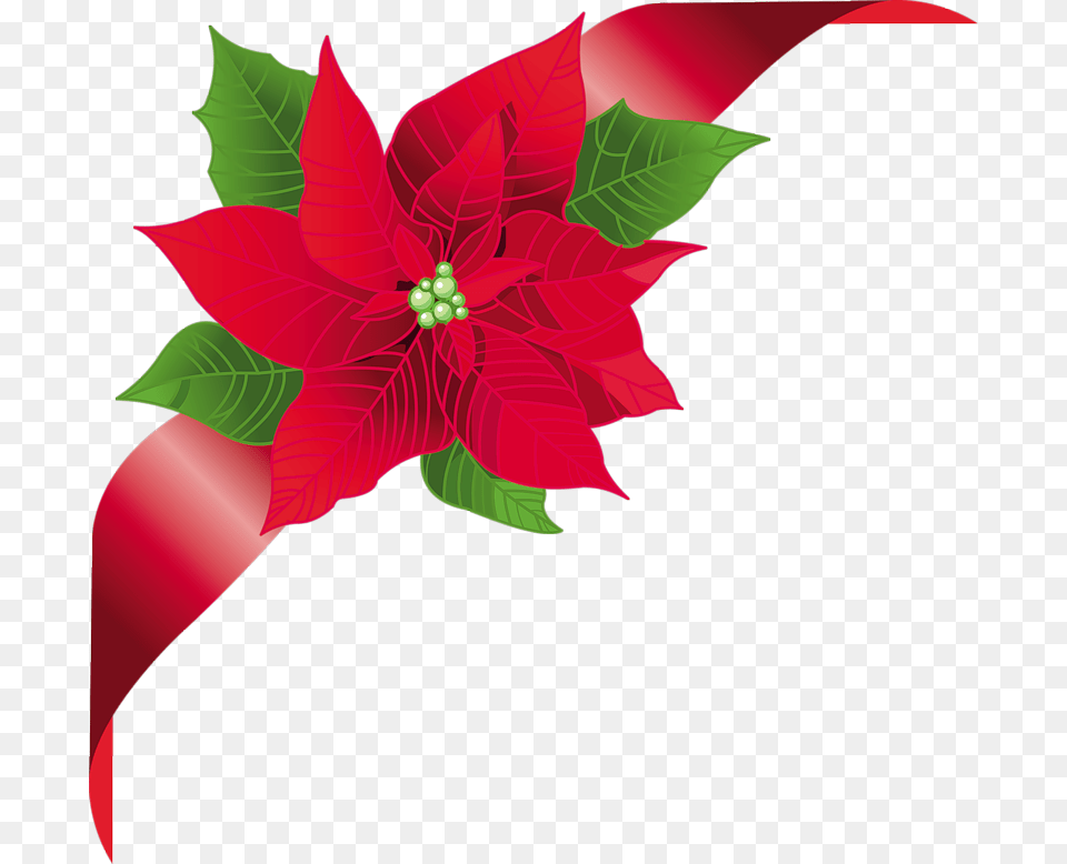 Fotki Christmas Frames Christmas Art Flower Clipart Christmas Floral Vector, Pattern, Leaf, Graphics, Floral Design Free Png Download
