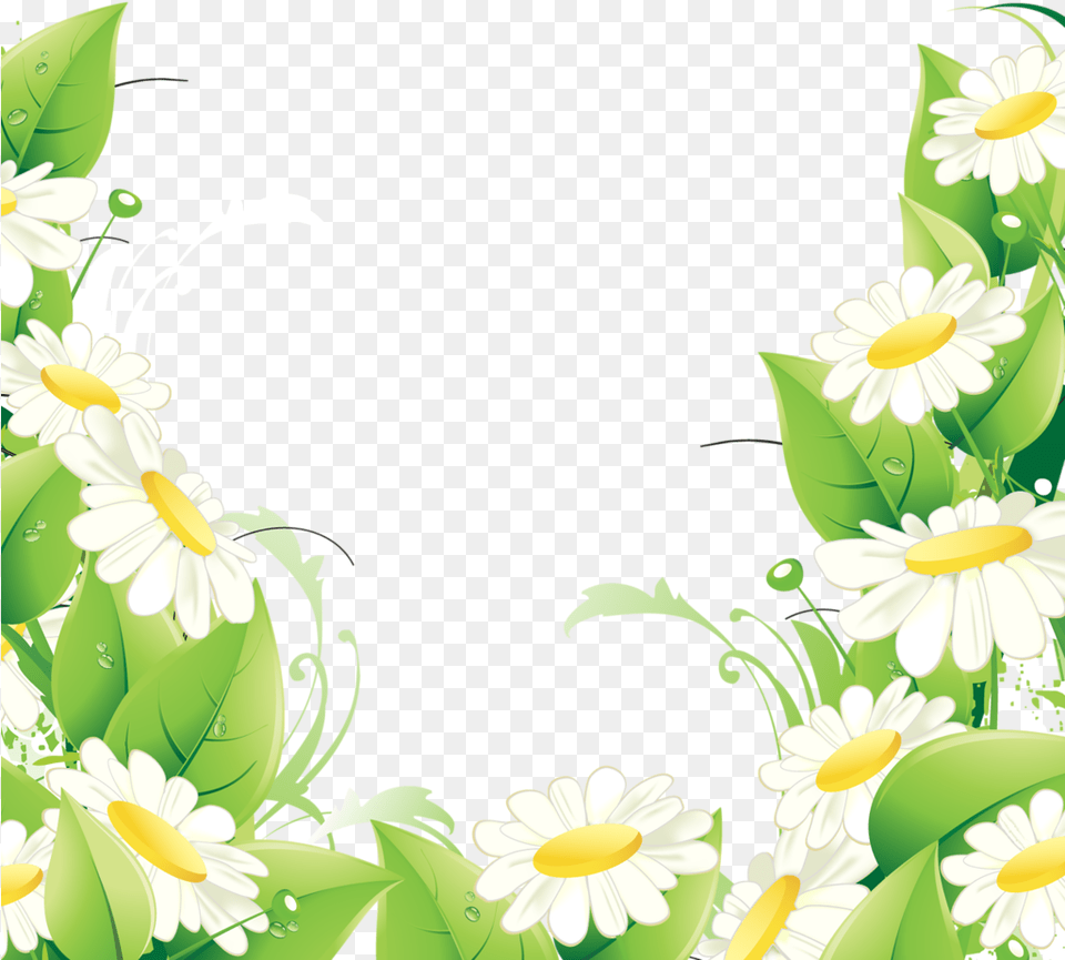 Fotki Flower Backgrounds Pretty Flowers Daisy Flower Bordure De Fleur, Art, Floral Design, Graphics, Green Free Png