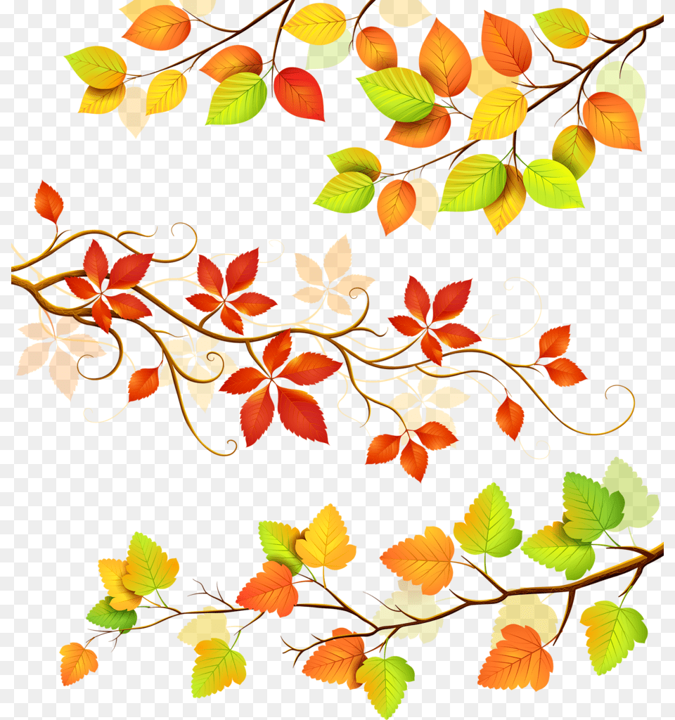 Fotki Leaves Vector Vector Pattern Paper Background Color Floral Clip Art, Floral Design, Graphics, Leaf, Plant Png Image