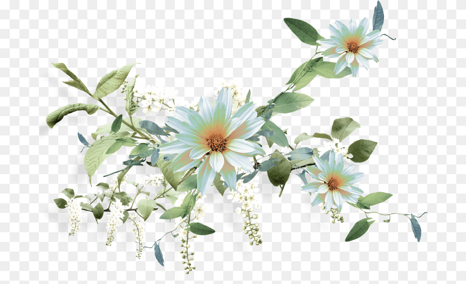 Fotki Nurcan Cceoluemeksensin Render Flowers, Daisy, Flower, Flower Arrangement, Flower Bouquet Free Transparent Png