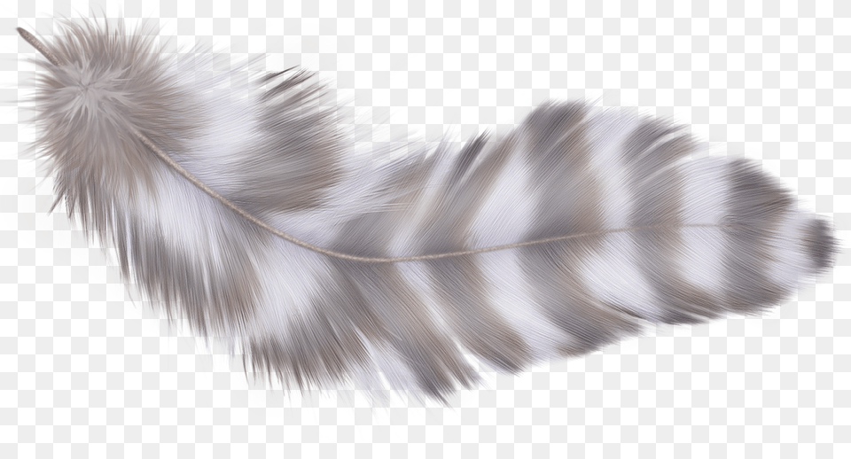 Fotki Parrot Feathers Clip Art Photoshop Parrot Feather, Accessories, Animal, Bird, Pattern Free Png Download