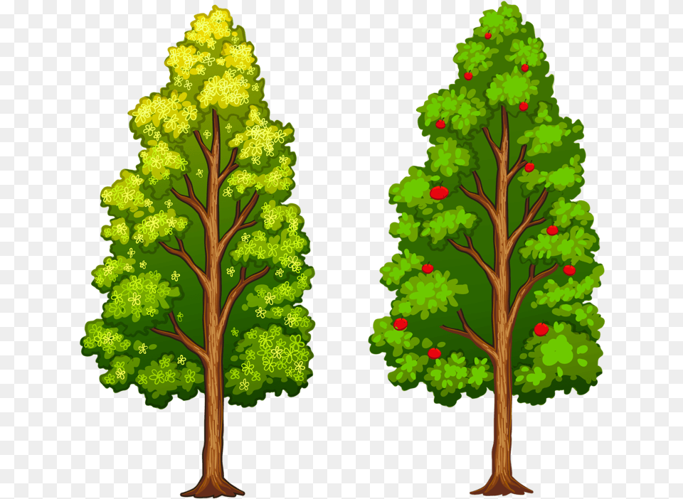 Fotki Tree Leaves Tree Of Life Flower Clips Paper Arboles Diferentes, Plant, Green, Vegetation, Pine Png