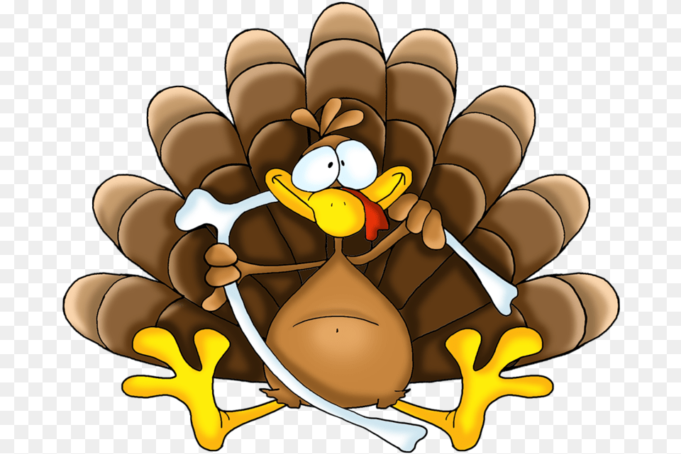 Fotki Turkey Cartoon Thanksgiving Turkey Happy Thanksgiving, Animal, Bee, Insect, Invertebrate Png