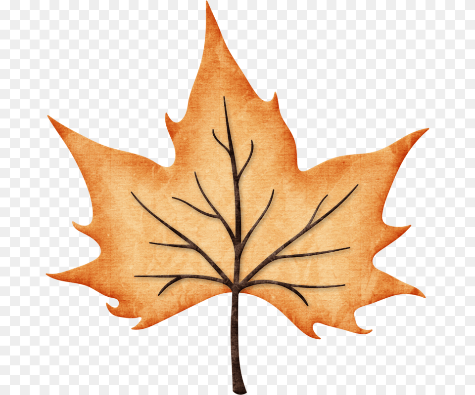 Foto Avtor Arana Na Yandeks Hojas De, Leaf, Maple Leaf, Plant, Tree Free Png Download