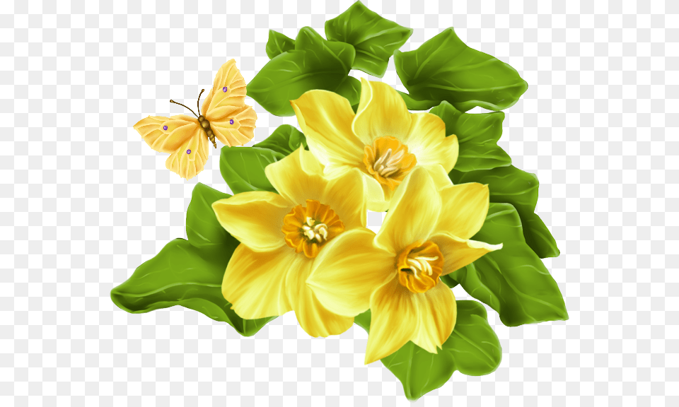 Foto Avtor Irishka Manyushka Na Yandeks Lily, Anther, Flower, Plant, Leaf Free Png Download