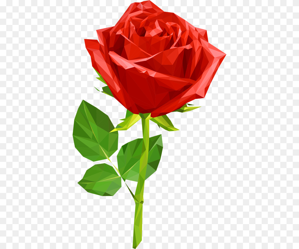 Foto Avtor Soloveika Na Yandeks Crystal Rose Background, Flower, Plant, Person Free Transparent Png