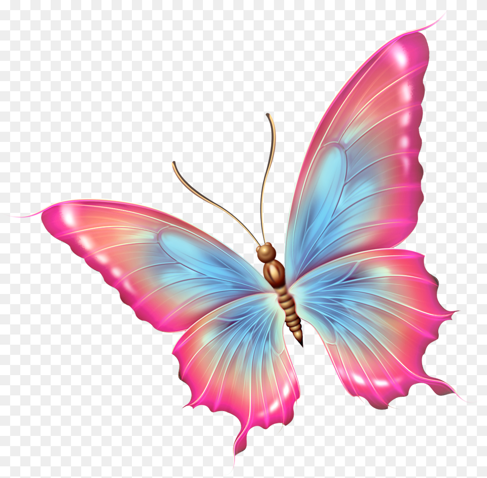 Foto Avtor Ya Pink And Blue Butterfly, Accessories, Pattern, Animal, Insect Free Png