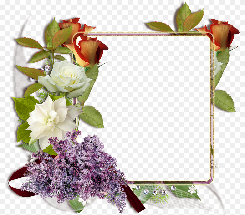 Fotomontaje Con Rosas Blancas Y Rojas Marcos De Rosas, Flower, Flower Arrangement, Flower Bouquet, Plant Free Png