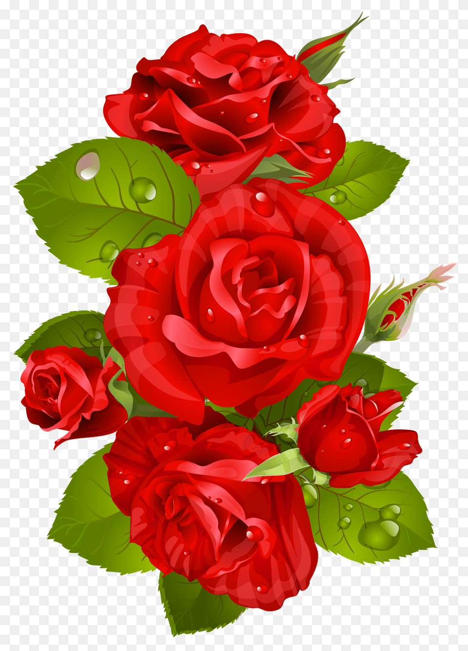 Fotoshop Red Roses Flowers, Clothing, Hat, Sombrero, Animal Png