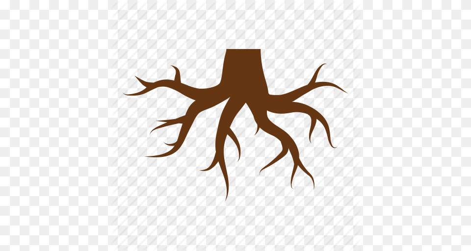 Foundation Nature Root Roots Stump Tree Tree Stump Icon, Animal, Dinosaur, Reptile, Plant Free Png