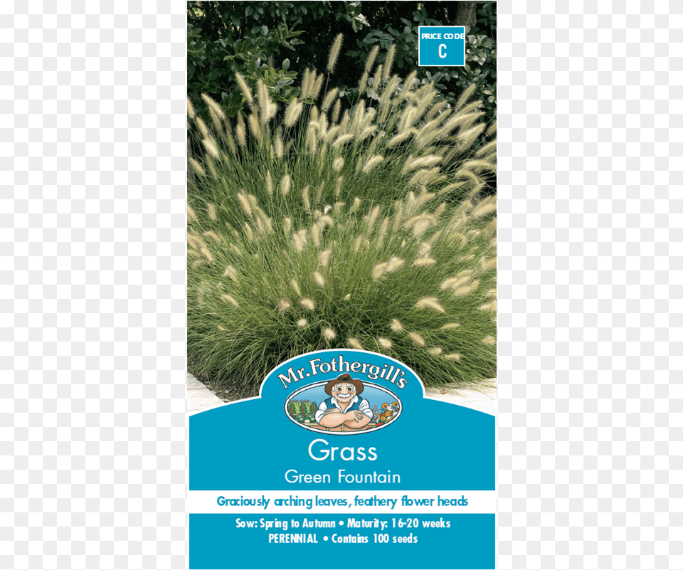 Fountain Grass Download Mr Fgills Vegetable Explorer Gherkin Cornichon De, Advertisement, Plant, Poster, Vegetation Free Transparent Png