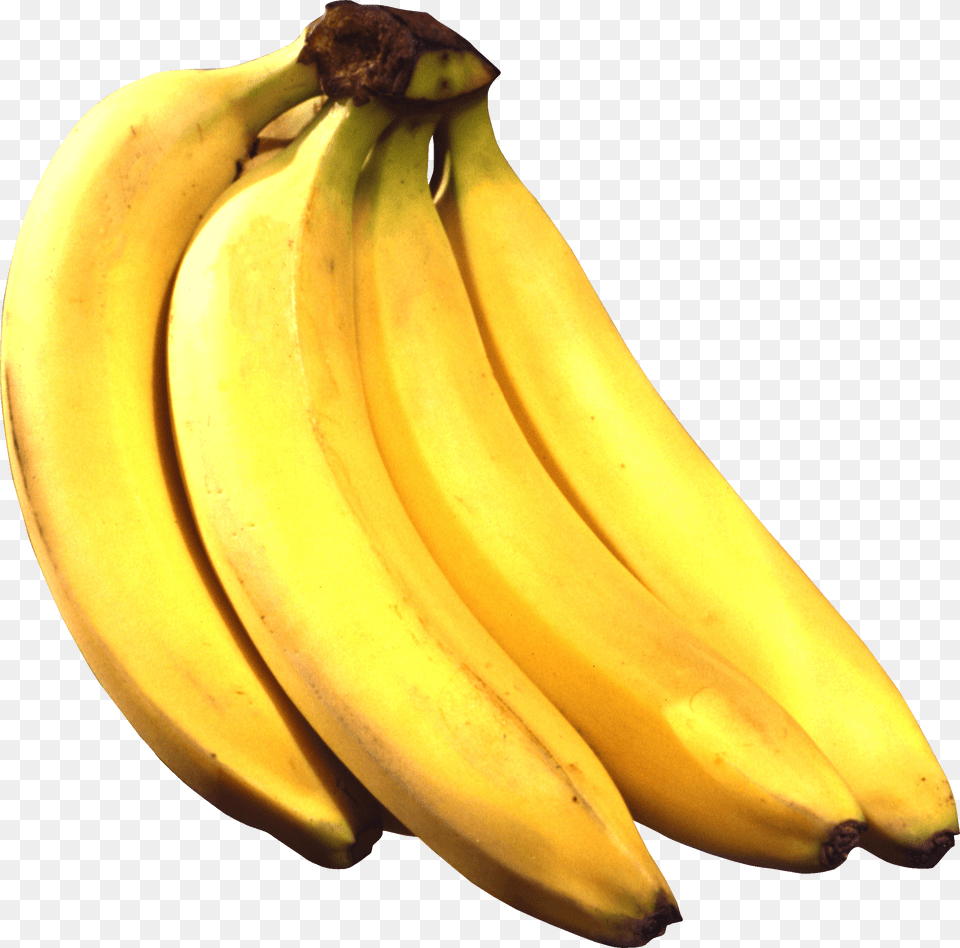 Four Bananas, Banana, Food, Fruit, Plant Free Png