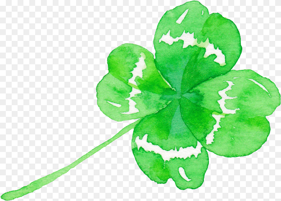 Four Clover Leaf Watercolor, Plant Free Transparent Png