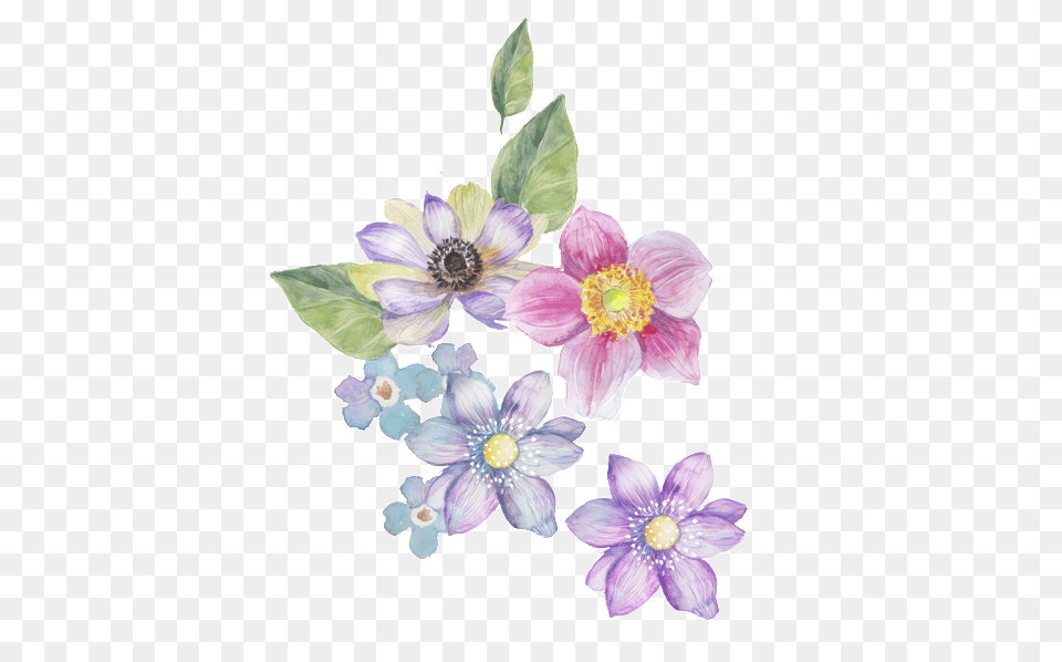 Four Color Flower Transparent Decorative Transparent Background Decorative Flower Transparent, Anemone, Anther, Petal, Plant Png Image