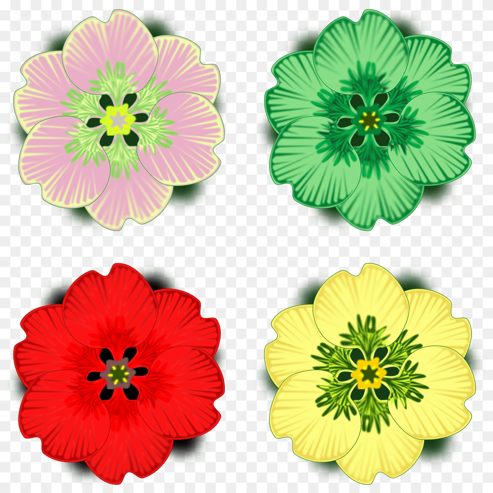 Four Flowers Of Different Colors Clipart, Anther, Flower, Plant, Hibiscus Free Png