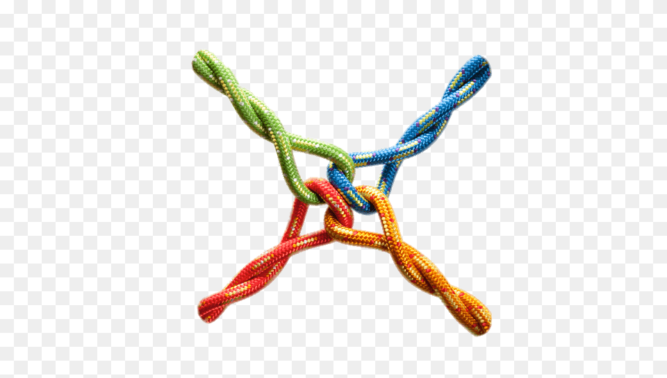 Four Knotted Ropes, Knot, Animal, Reptile, Snake Free Png Download