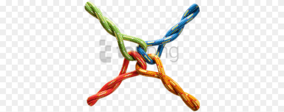Four Knotted Ropes Image With Transparent Background Strengthening The Team, Animal, Reptile, Snake, Knot Free Png