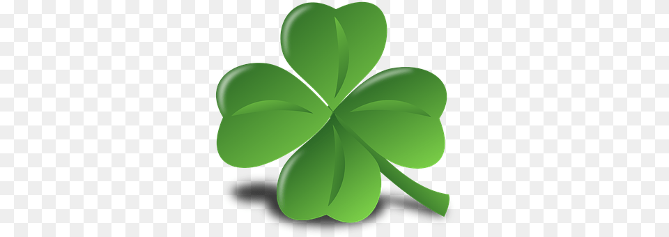 Four Leaf Clover Plant, Green, Herbal, Herbs Png