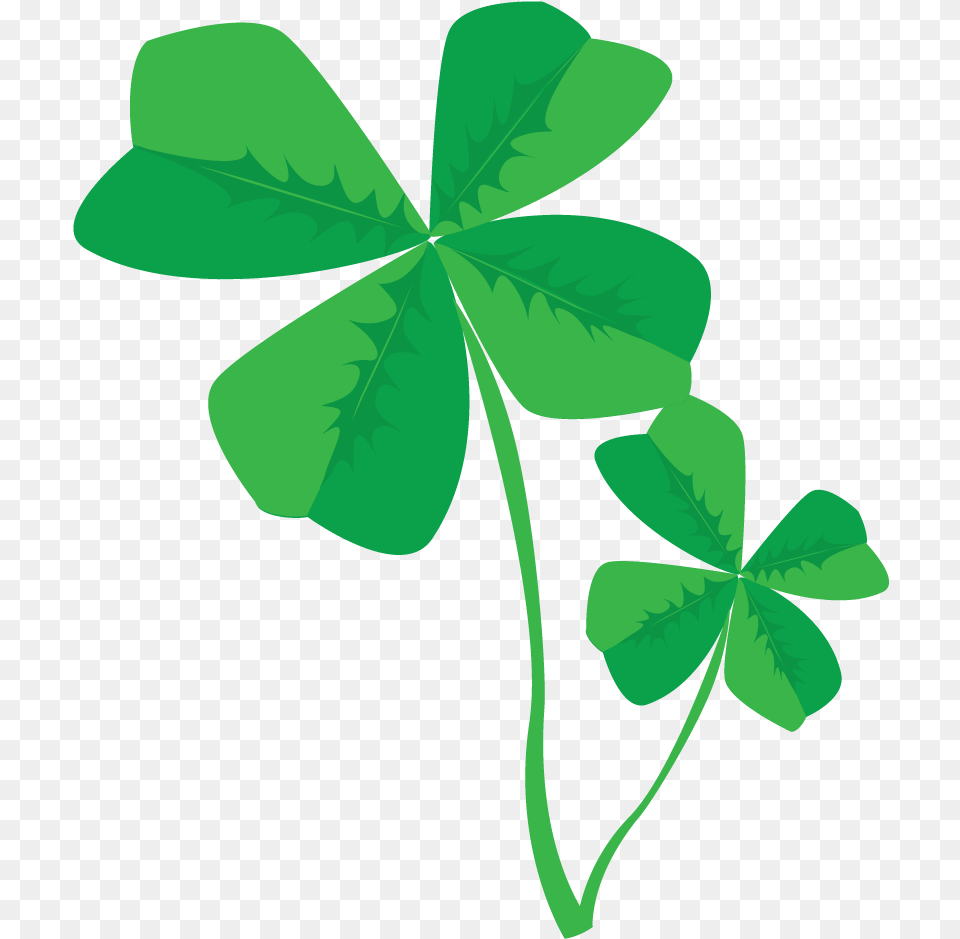 Four Leaf Clover Clipart Free Clip Art, Plant, Green Png