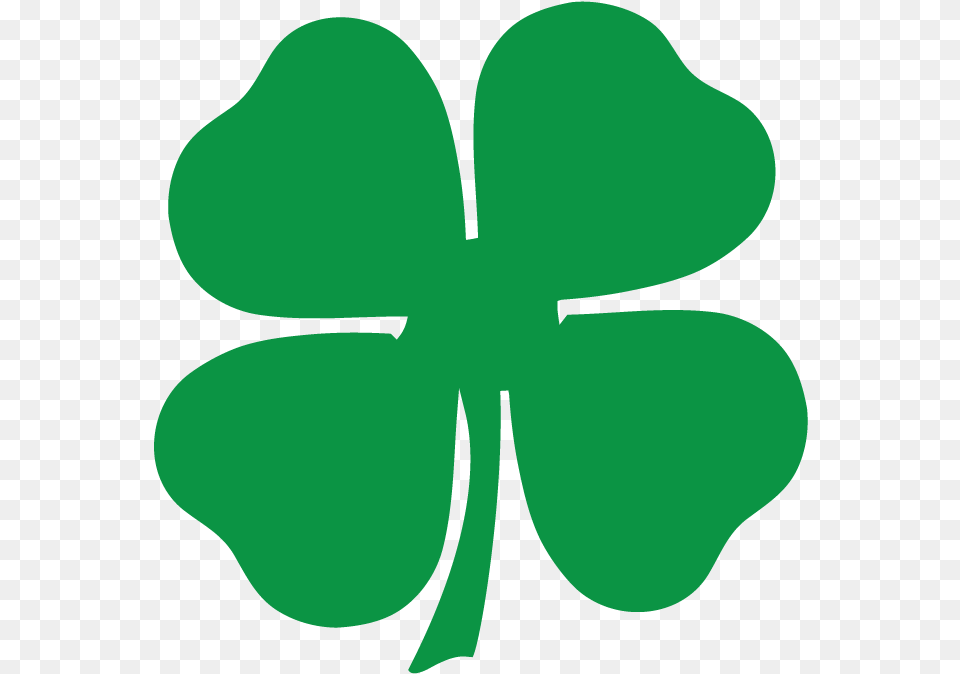 Four Leaf Clover Lucky Charm Irish Pride St Patricks Four Leaf Clover Green, Flower, Petal, Plant Png Image