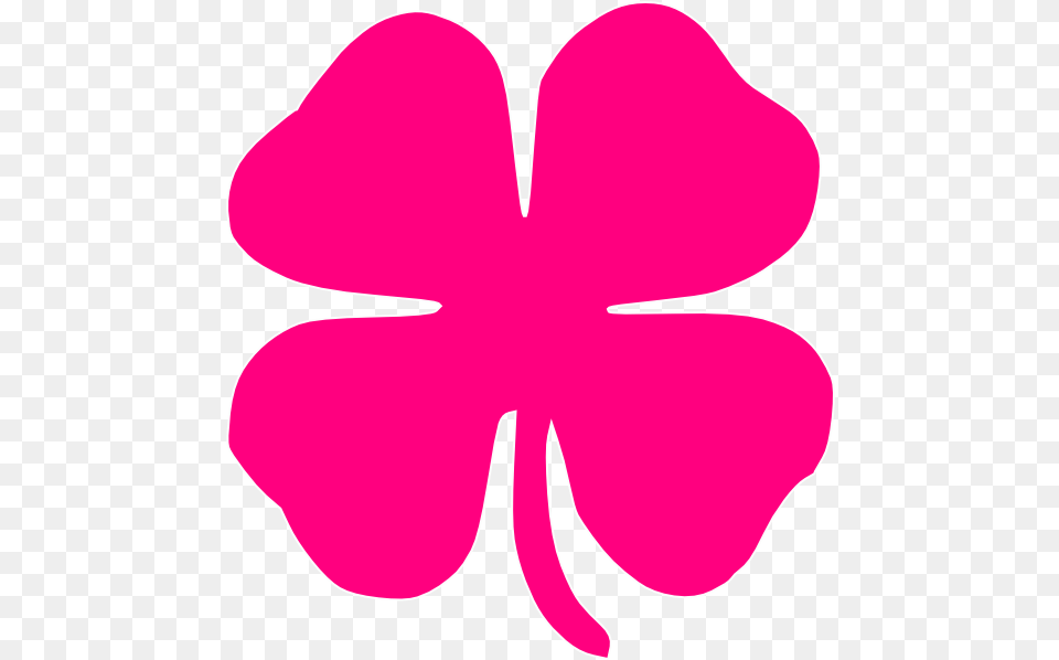 Four Leaf Clover Pink 4 Leaf Clover Hd Pink Four Leaf Clover, Flower, Petal, Plant Free Png Download