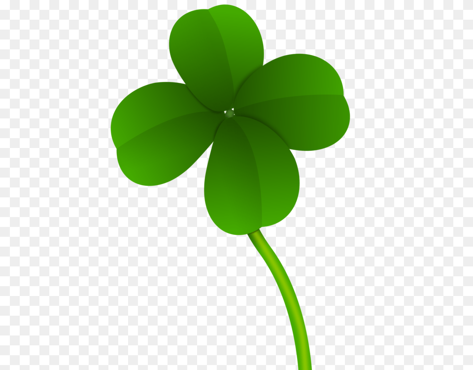 Four Leaf Clover Shamrock Red Clover Saint Patricks Day Luck, Green, Plant, Sprout Free Png Download