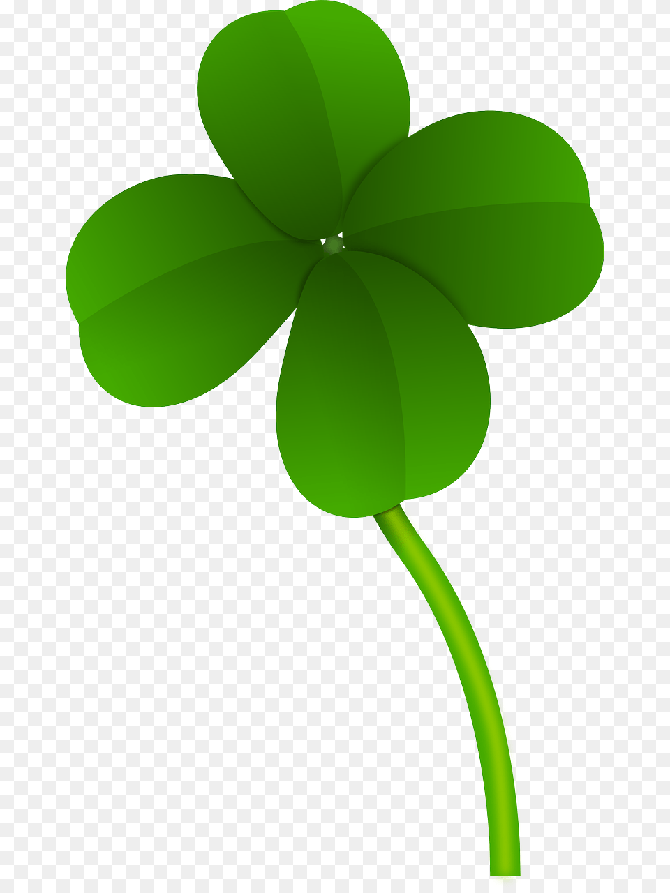 Four Leaf Clover Stem, Green, Plant, Sprout, Herbal Png Image