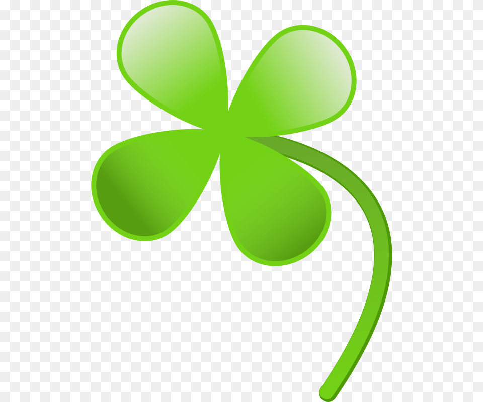 Four Leaves Clover, Green, Leaf, Plant Free Png