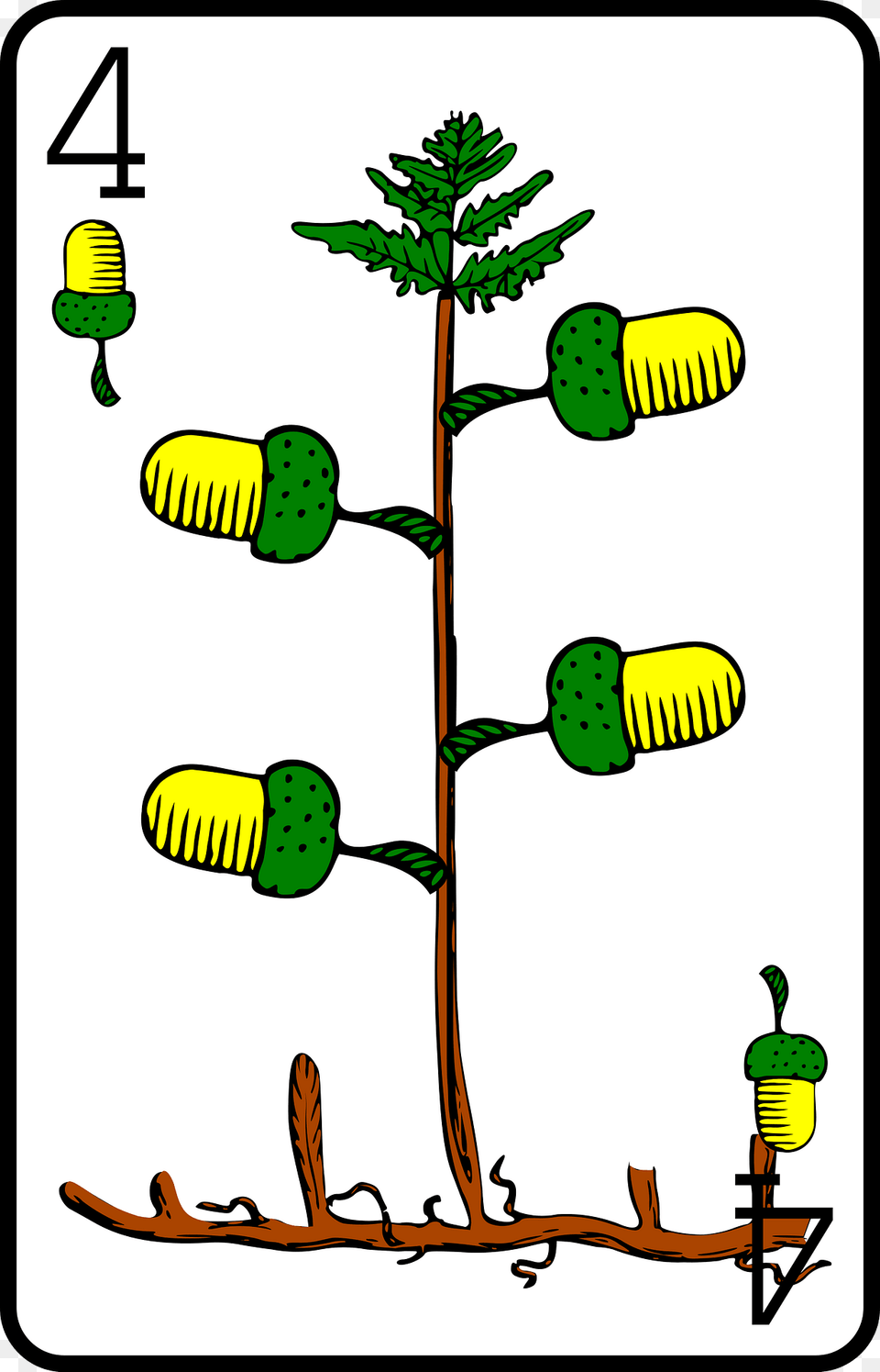 Four Of Acorns Clipart, Plant, Tree, Food, Grain Png