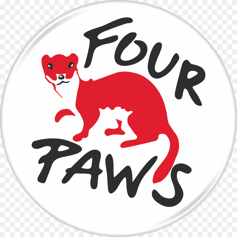 Four Paws, Animal, Mammal, Wildlife Png