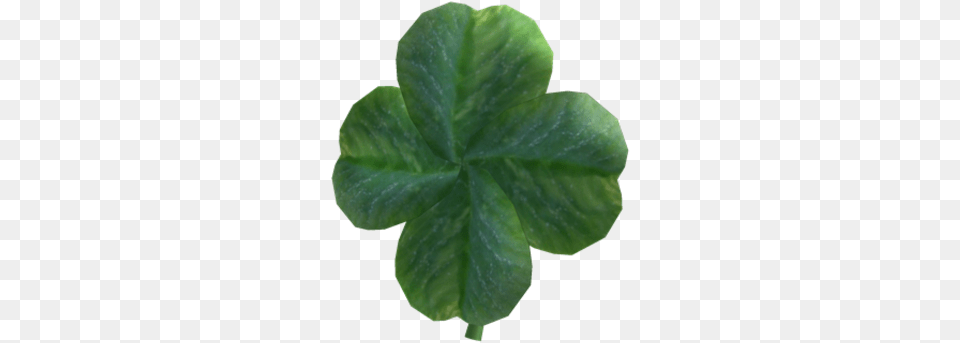 Four Shamrock, Leaf, Plant Free Png