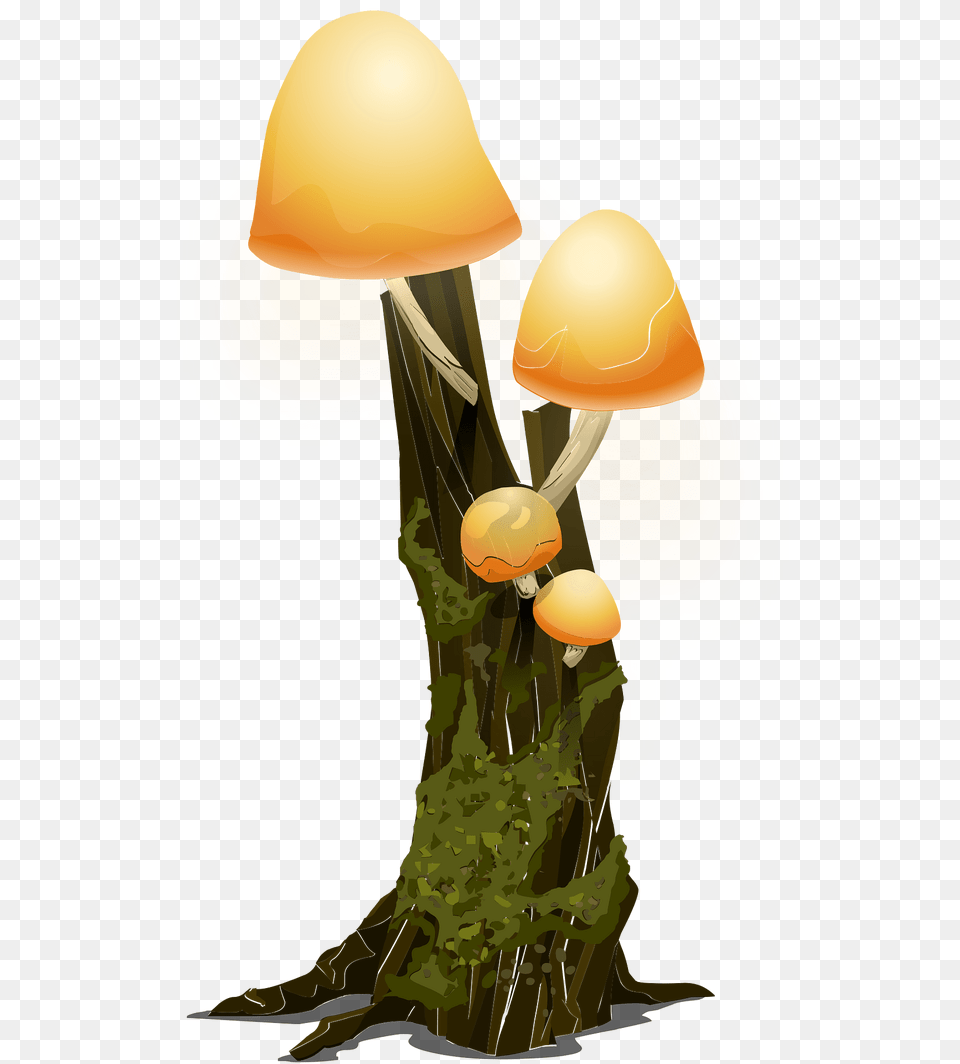 Four Yellow Mushrooms Clipart, Agaric, Fungus, Mushroom, Plant Png