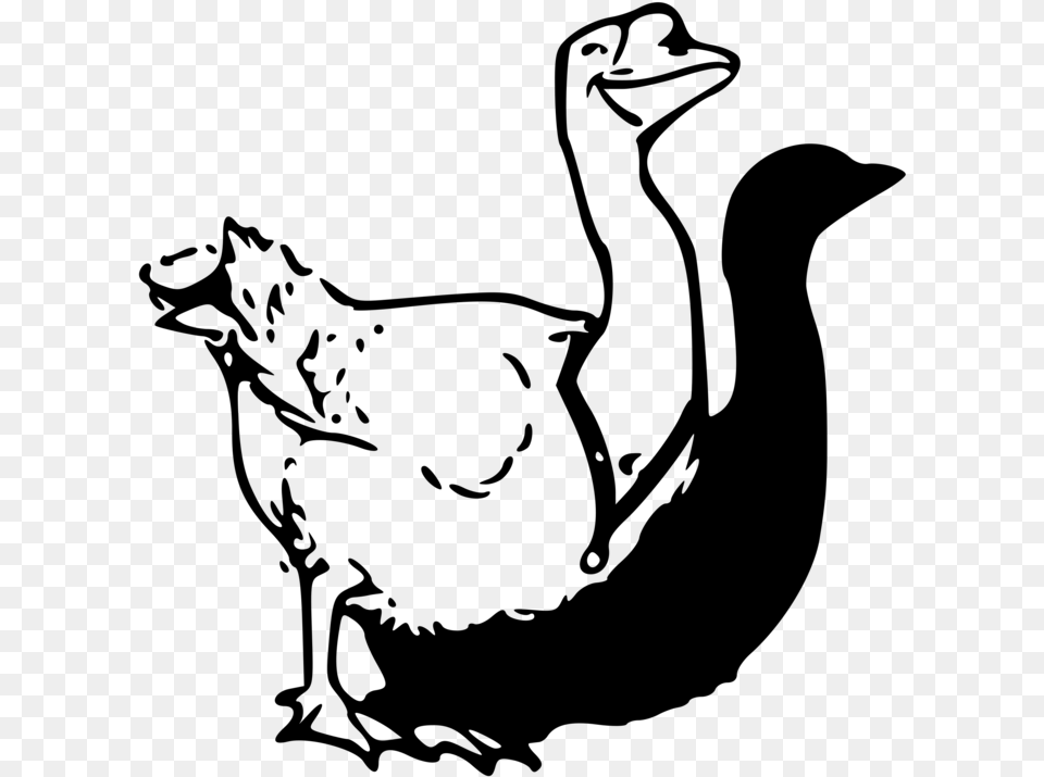 Fowlgooseduck Clip Art, Gray Png Image