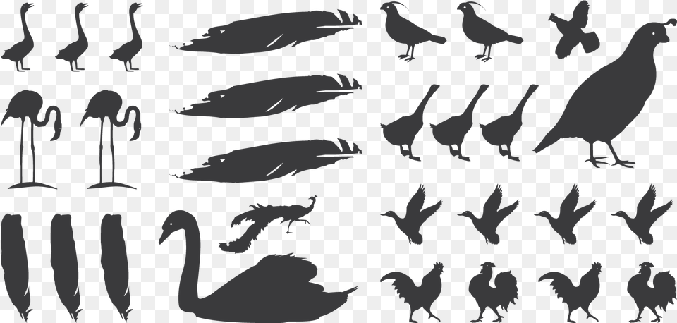 Fowlplay Silhouette, Animal, Bird, Stencil, Chicken Free Png Download