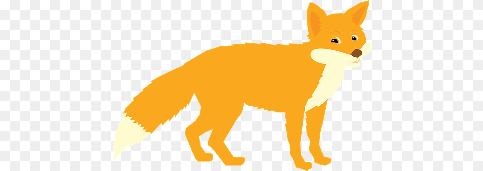 Fox Animal, Canine, Mammal, Red Fox Free Transparent Png