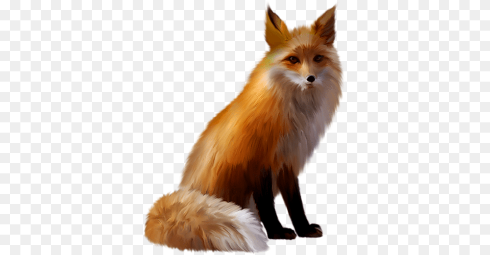 Fox, Animal, Canine, Mammal, Red Fox Free Png Download