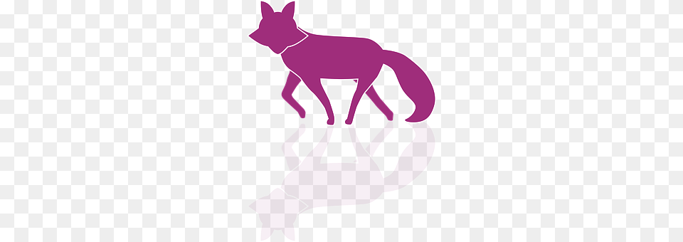 Fox Purple, Animal, Kangaroo, Mammal Free Png