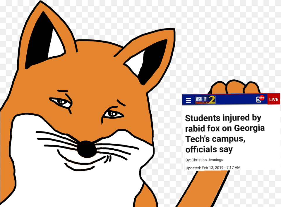 Fox, Baby, Person, Text, Face Free Transparent Png